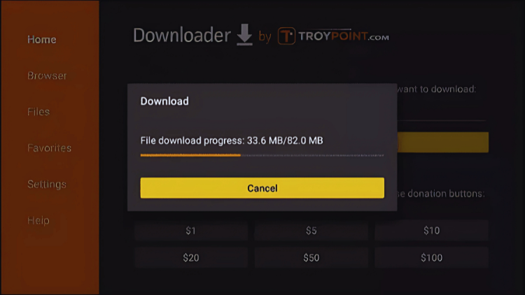 Firestick Remote